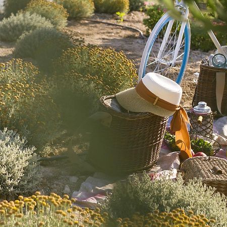 Aelia Wellness Retreat Hotel Nikosia Bagian luar foto