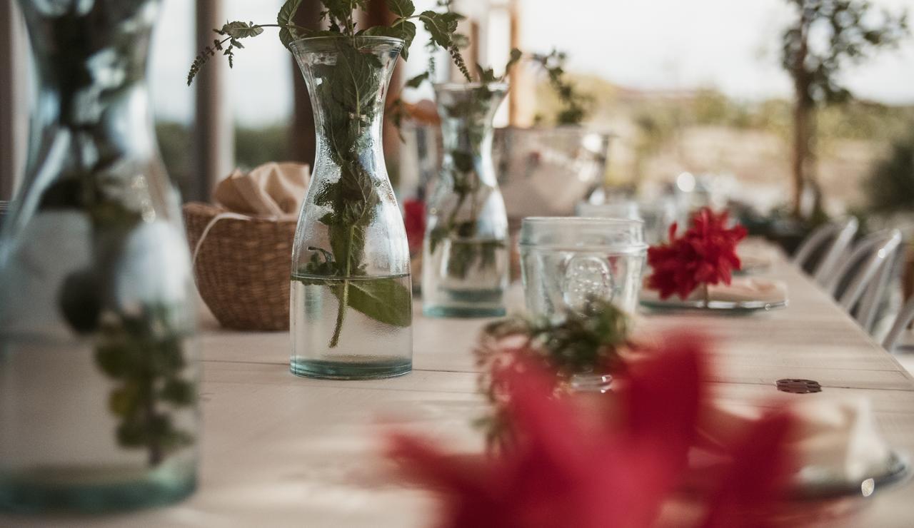 Aelia Wellness Retreat Hotel Nikosia Bagian luar foto